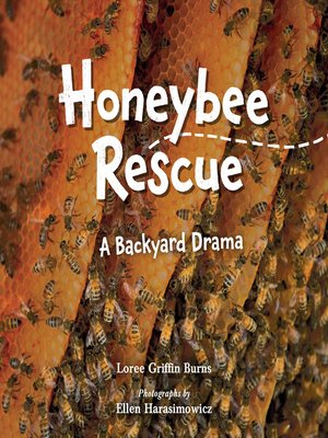 cover image of Honeybee Rescue